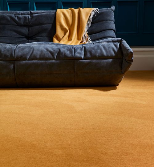 Velvet carpet